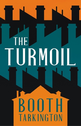 Imagen de portada: The Turmoil 9781528718714