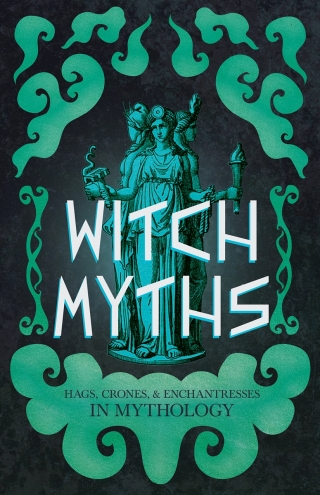 Cover image: Witch Myths 9781528723961
