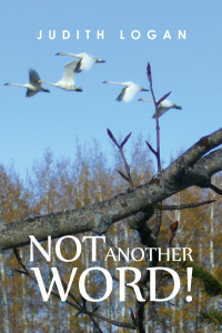 Immagine di copertina: Not Another Word! 9781788784207