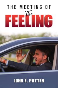 Cover image: The Meeting of the Feeling 9781528993838