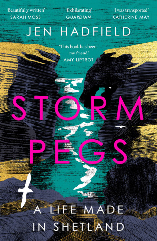 Cover image: Storm Pegs 9781529038033