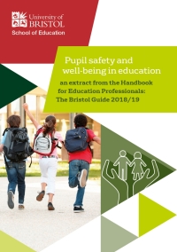 صورة الغلاف: Pupil safety and well-being in education 1st edition