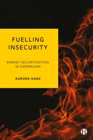 صورة الغلاف: Fuelling Insecurity 1st edition 9781529216691