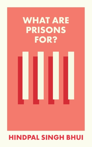 صورة الغلاف: What Are Prisons For? 1st edition 9781529226898