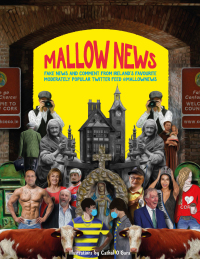 Cover image: Mallow News 9781529341454