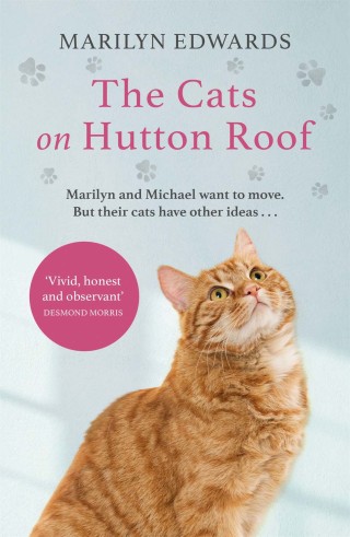 Cover image: The Cats on Hutton Roof 9781529373486