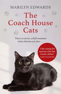Cover image: The Coach House Cats 9781529373493