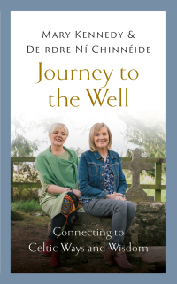 Cover image: Journey to the Well 9781529382334