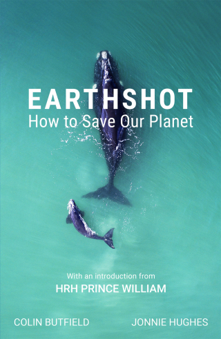 Cover image: Earthshot 9781529388640