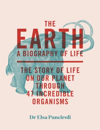 Cover image: The Earth 9781529414011