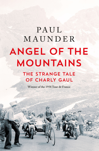 Cover image: Angel of the Mountains 9781529429589