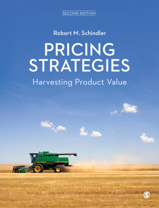 Cover image: Pricing Strategies 2nd edition 9781526494429