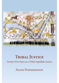 Omslagafbeelding: Tribal Justice: Twenty-Five Years as a Tribal Appellate Justice 1st edition 9781611636659