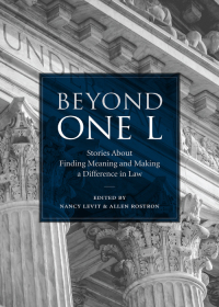Cover image: Beyond One L: Stories About Finding Meaning and Making a Difference in Law 1st edition 9781531008352