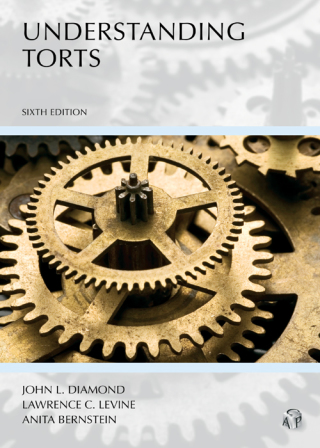 Cover image: Understanding Torts 6th edition 9781531009755