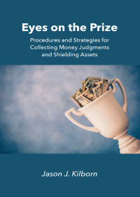 Imagen de portada: Eyes on the Prize: Procedures and Strategies for Collecting Money Judgments and Shielding Assets 1st edition 9781531016067