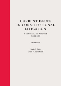 Cover image: Current Issues in Constitutional Litigation: A Context and Practice Casebook 3rd edition 9781531019181