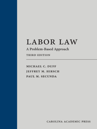 Cover image: Labor Law: A Problem-Based Approach, Third Edition 3rd edition 9781531020842