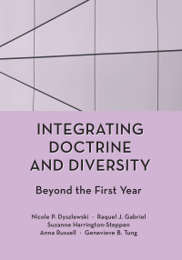 Imagen de portada: Integrating Doctrine and Diversity: Beyond the First Year 1st edition 9781531024505