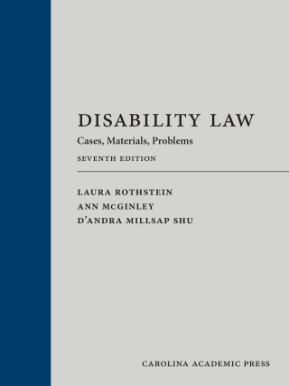 Cover image: Disability Law: Cases, Materials, Problems 7th edition 9781531028169