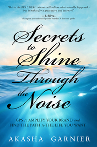 Omslagafbeelding: Secrets to Shine Through the Noise