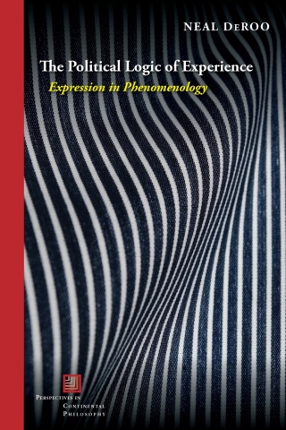 Cover image: The Political Logic of Experience 1st edition 9781531500054