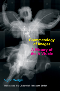 Cover image: Grammatology of Images 1st edition 9781531500276