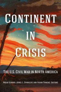 Cover image: Continent in Crisis 1st edition 9781531501297