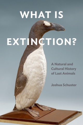 Cover image: What Is Extinction? 1st edition 9781531501648