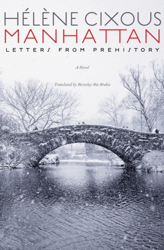 Cover image: Manhattan 1st edition 9781531502898