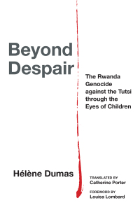 Cover image: Beyond Despair 1st edition 9781531506070