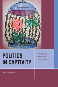 Cover image: Politics in Captivity 1st edition 9781531507022