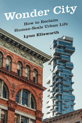 Cover image: Wonder City 1st edition 9781531508180