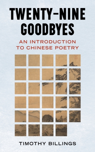 Imagen de portada: Twenty-Nine Goodbyes 1st edition 9781531514792