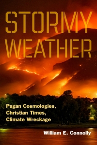 Cover image: Stormy Weather 1st edition 9781531509200