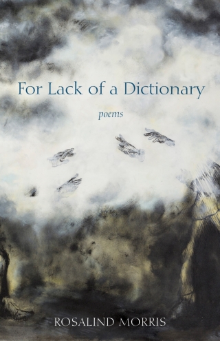 Cover image: For Lack of a Dictionary 1st edition 9781531509736