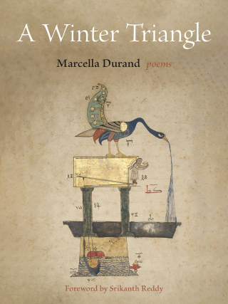 Cover image: A Winter Triangle 1st edition 9781531511708