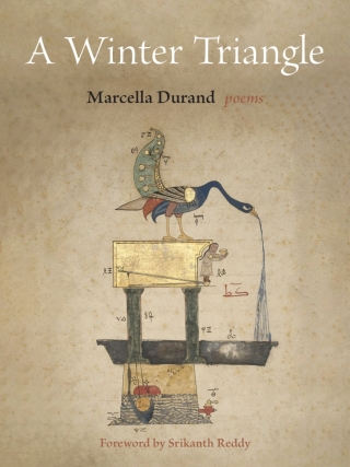 Cover image: A Winter Triangle 1st edition 9781531511708