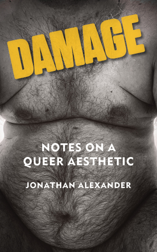 Imagen de portada: Damage 1st edition 9781531513184