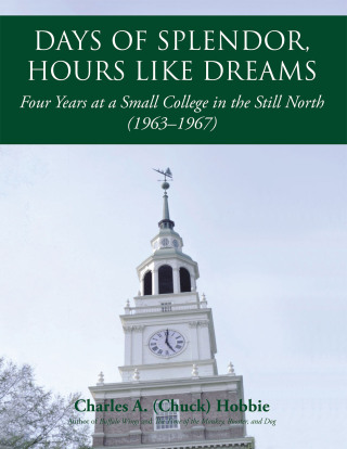 Imagen de portada: Days of Splendor, Hours Like Dreams 9781532018657