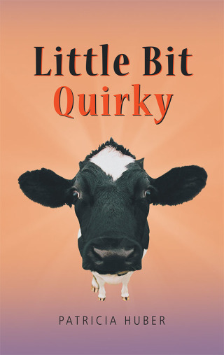 Imagen de portada: Little Bit Quirky 9781532018718
