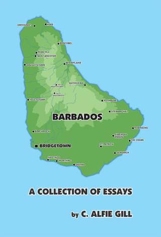 Imagen de portada: A Collection of Essays 9781532022845