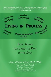 Cover image: Living in Process 9781532030529