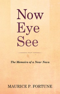 Cover image: Now Eye See 9781532039980