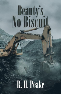 Imagen de portada: Beauty’S No Biscuit 9781532042003