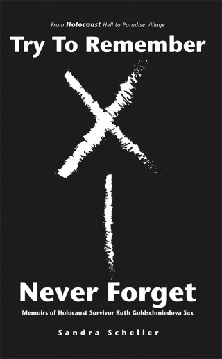 Imagen de portada: Try to Remember—Never Forget 9781532045127