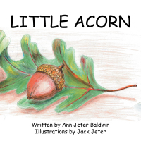 Cover image: Little Acorn 9781532046285