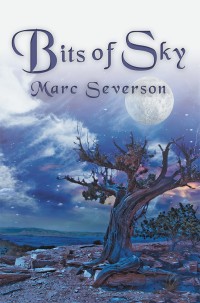 Imagen de portada: Bits of Sky 9781532048357