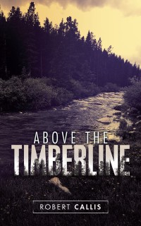 Cover image: Above the Timberline 9781532048593