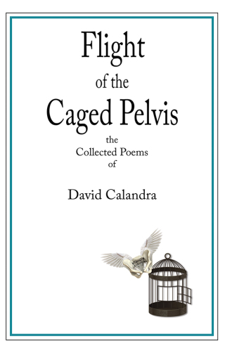 Cover image: Flight of the Caged Pelvis 9781532049491